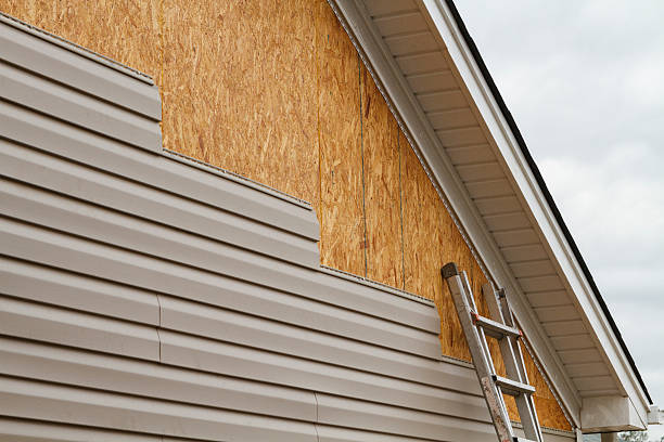 Professional Siding Inspection technician working in Lansing, IL